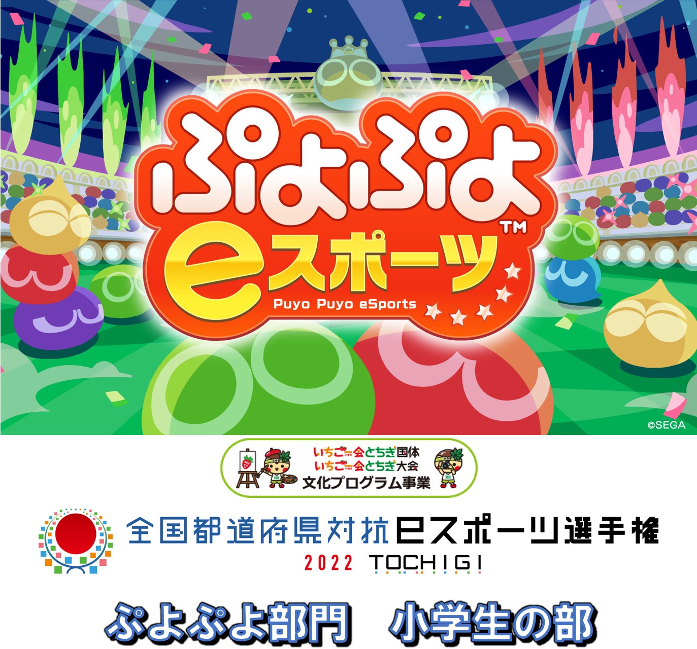 全国都道府県対抗eスポーツ選手権 2022 TOCHIGI ぷよぷよ部門 小学生の